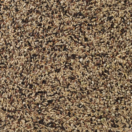 Deli Nature Oiseaux Indigènes 20kg (91) 3 Deli Nature Oiseaux Indigènes 20kg (91) - Afbeelding 2