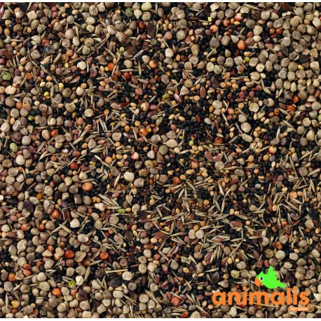 94 - Graines Sauvages 15kg - Deli Nature 4 94 - Graines Sauvages 15kg - Deli Nature - Afbeelding 2