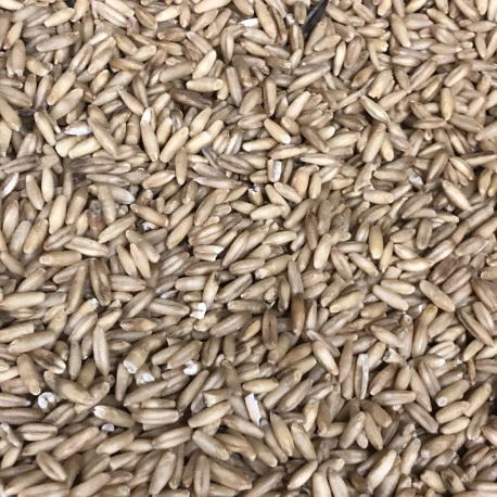 Avoine Pelée 25kg - Beyers 4 Avoine Pelée 25kg - Beyers - Afbeelding 2