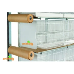 Batterie D'élevage 12 Cages - 60x31x35cm 8 Batterie D'élevage 12 Cages - 60x31x35cm -Vogelbenodigdheden Winkel batterie d elevage 12 cages 60x31x35cm 1 2