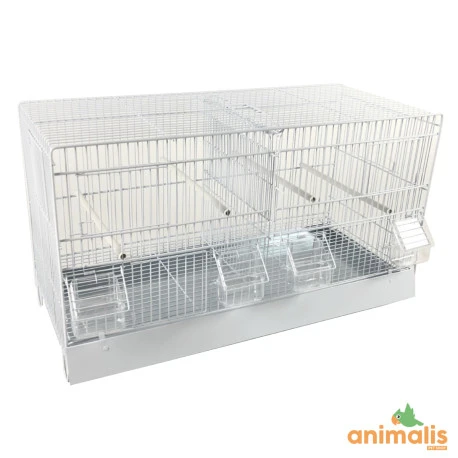 Cage Domus-Molinari 64cm Laquée En Blanc 3 Cage Domus-Molinari 64cm Laquée En Blanc