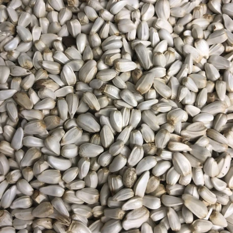 Cardi Extra 15 Kg - Duvo 4 Cardi Extra 15 Kg - Duvo - Afbeelding 2