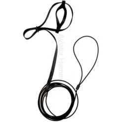 Harnais Pour Perroquets Aviator - Medium/Noir -Vogelbenodigdheden Winkel harnais pour perroquets aviator mediumnoir 2