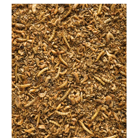 VERSELE-LAGA Insect Patee Premium 10kg - Aliment Complet Pour Tous Les Insectivores 4 VERSELE-LAGA Insect Patee Premium 10kg - Aliment Complet Pour Tous Les Insectivores - Afbeelding 2