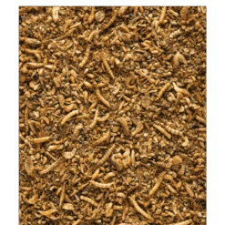 VERSELE-LAGA Insect Patee Premium 500g - Aliment Complet Pour Tous Les Insectivores -Vogelbenodigdheden Winkel insect patee premium 500g aliment complet pour tous les insectivores 1