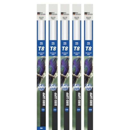 Néon 120cm T8 Bird Lamp 36W - Bird Systems 4 Néon 120cm T8 Bird Lamp 36W - Bird Systems - Afbeelding 2