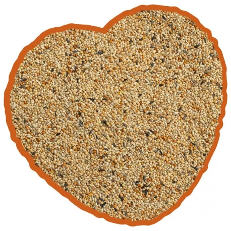 Mélange De Graines Pour Oiseaux Exotiques 20Kg - Duvo 4 Mélange De Graines Pour Oiseaux Exotiques 20Kg - Duvo - Afbeelding 2