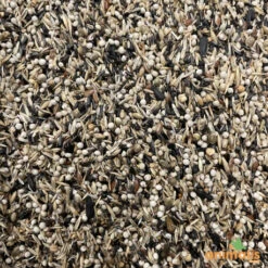 Mélange De Graines Pour Tarins Américains Et Européens 15kg - Hoebre -Vogelbenodigdheden Winkel melange de graines pour tarins americains et europeens 15kg 2