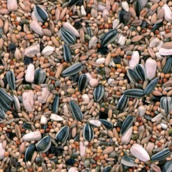 Grandes Perruches Duvo 20 Kg -Vogelbenodigdheden Winkel melange pour grandes perruches 20 kg duvo 3