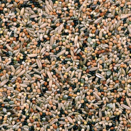 Mélange Volière 20Kg - Duvo 4 Mélange Volière 20Kg - Duvo - Afbeelding 2