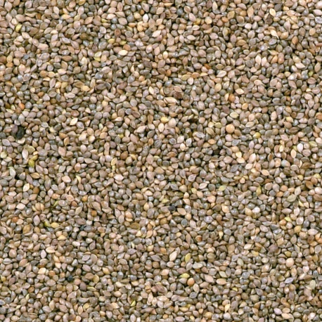 Millet Japonais 15kg 3 Millet Japonais 15kg