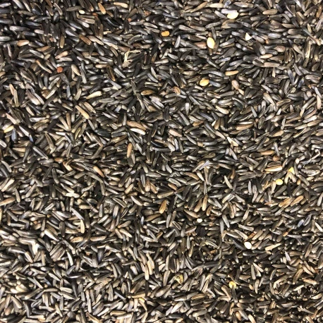 Graines De Niger 15 Kg 4 Graines De Niger 15 Kg - Afbeelding 2