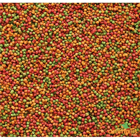 VERSELE-LAGA Nutribird B14 3kg 3 VERSELE-LAGA Nutribird B14 3kg - Afbeelding 2