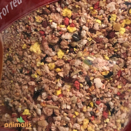 Pâtée Quiko Rouge 5kg + 1kg Gratuit 4 Pâtée Quiko Rouge 5kg + 1kg Gratuit - Afbeelding 2