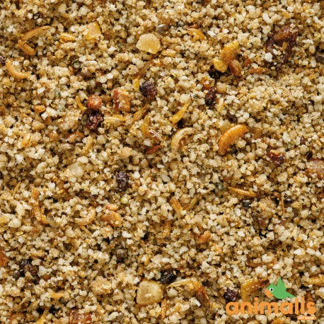 VERSELE-LAGA Uni Pâtée 25kg - Aliment Complet Pour Les Petits Frugivores Et Insectivores 4 VERSELE-LAGA Uni Pâtée 25kg - Aliment Complet Pour Les Petits Frugivores Et Insectivores - Afbeelding 2