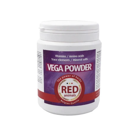Vega Powder 500g - Vitamines, Acides Aminés Et Électrolytes 3 Vega Powder 500g - Vitamines, Acides Aminés Et Électrolytes