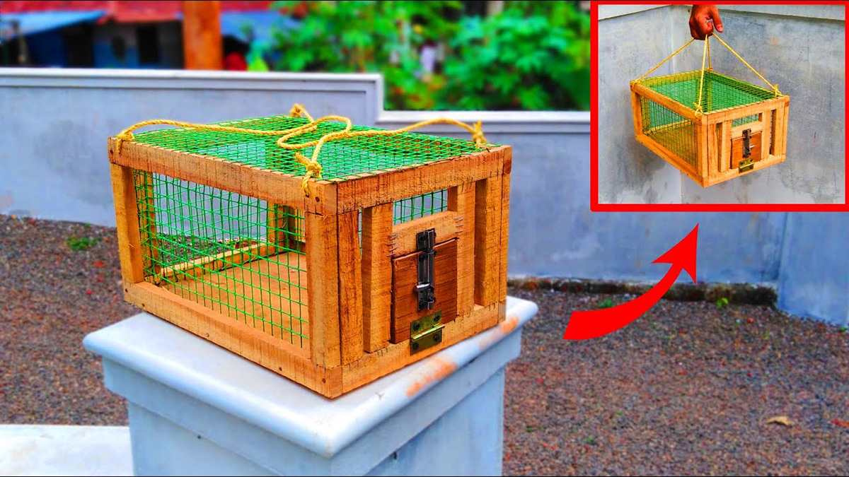 Vogelbenodigdheden Winkel -Vogelbenodigdheden Winkel 3